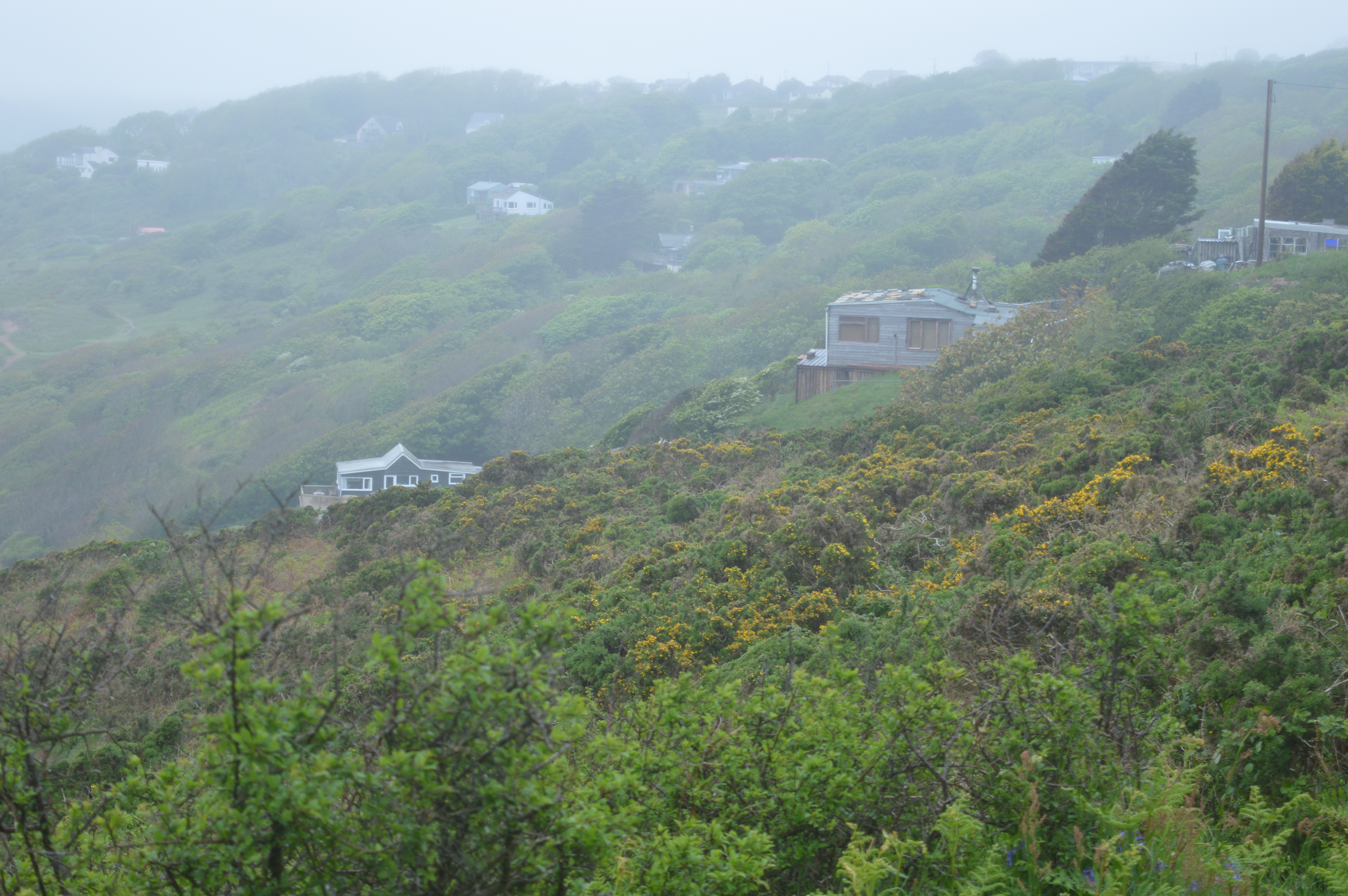 pembrokeshire-freshwater-east-dog-beach-dog-friendly-holiday-pembrokeshire-wales-tenby-south-beach-sobe-elle-blonde-luxury-lifestyle-destination-blog