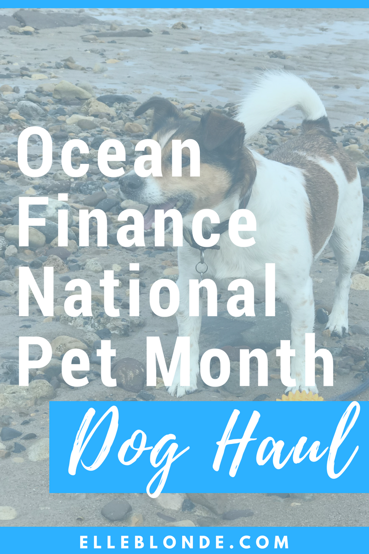 Dog Blog | National Pet Month | Dog Haul with Ocean Finance | Elle Blonde Luxury Lifestyle Destination Blog