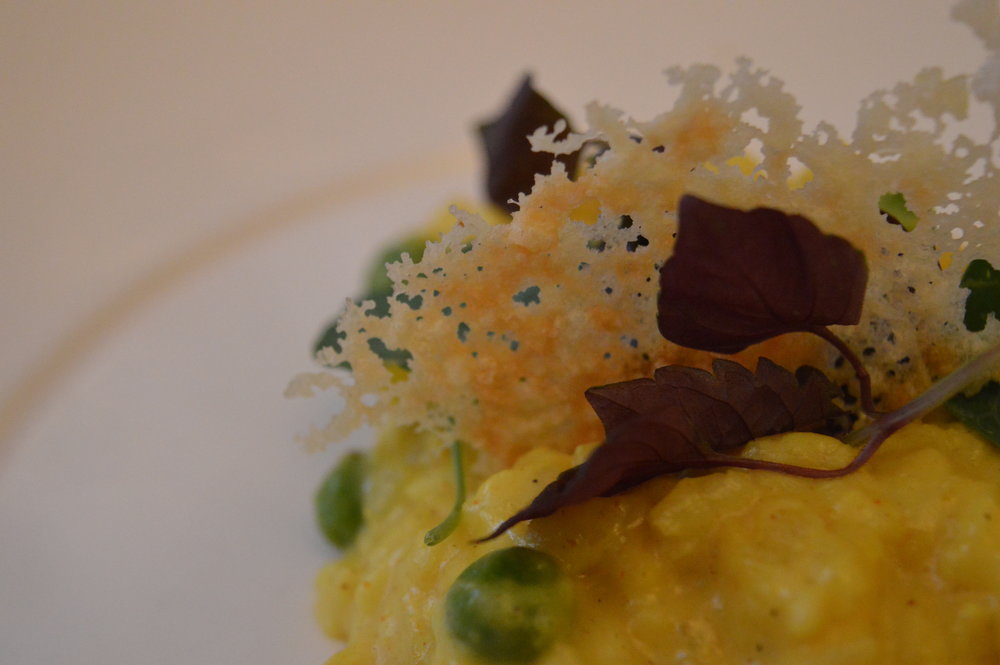 curried-smoked-haddock-risotto-paul-amer-menu-marco-pierre-white-mpw-hotel-indigo-steakhouse-newcastle-menu-launch-elle-blonde-luxury-lifestyle-blog