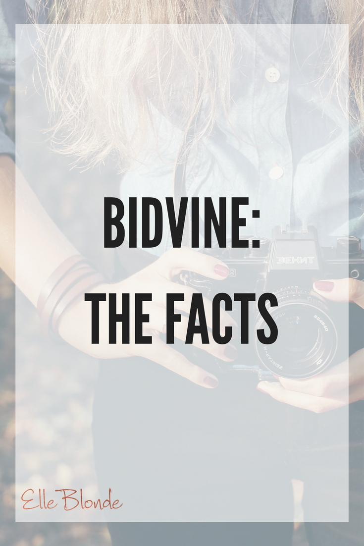 3 Reasons How Bidvine Can Really Help Your Business 1