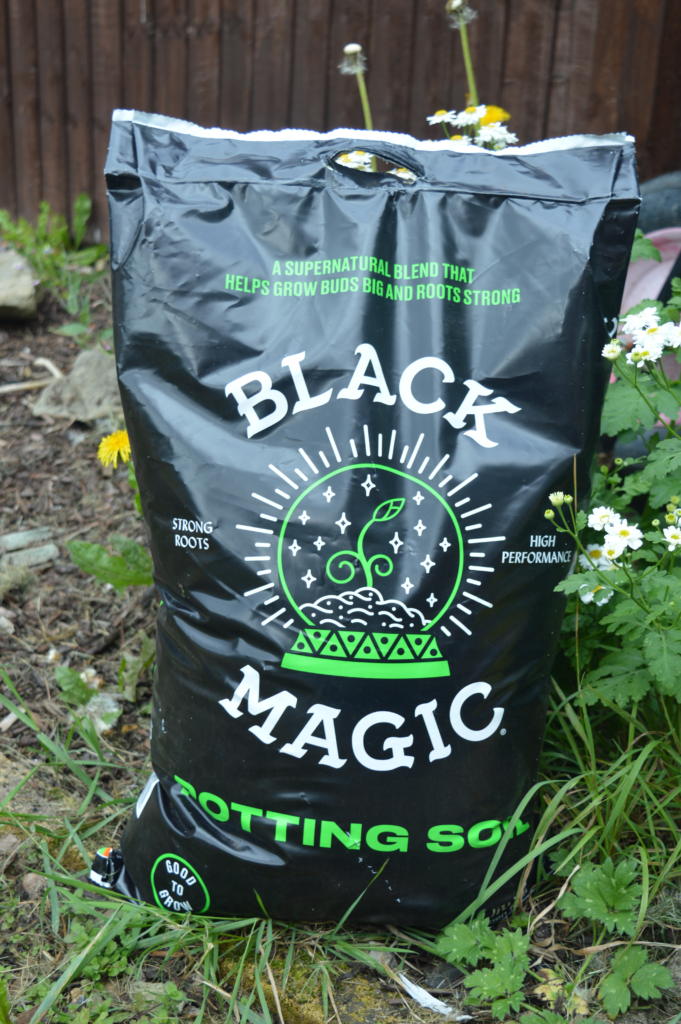 Which Miracle-Gro Is Best For My Garden?