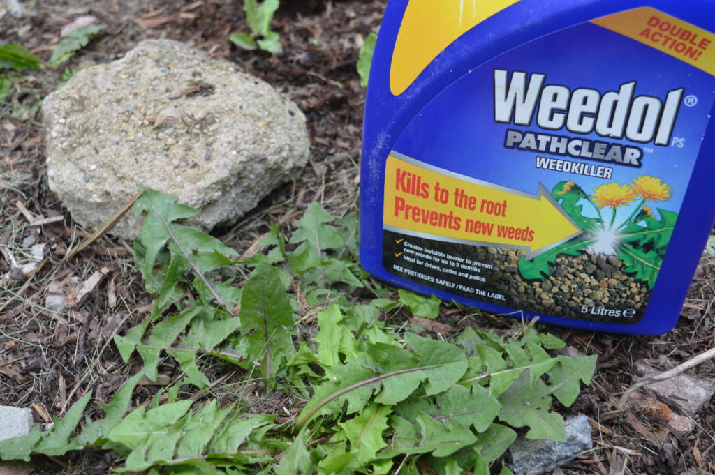 Which Miracle-Gro Is Best For My Garden?