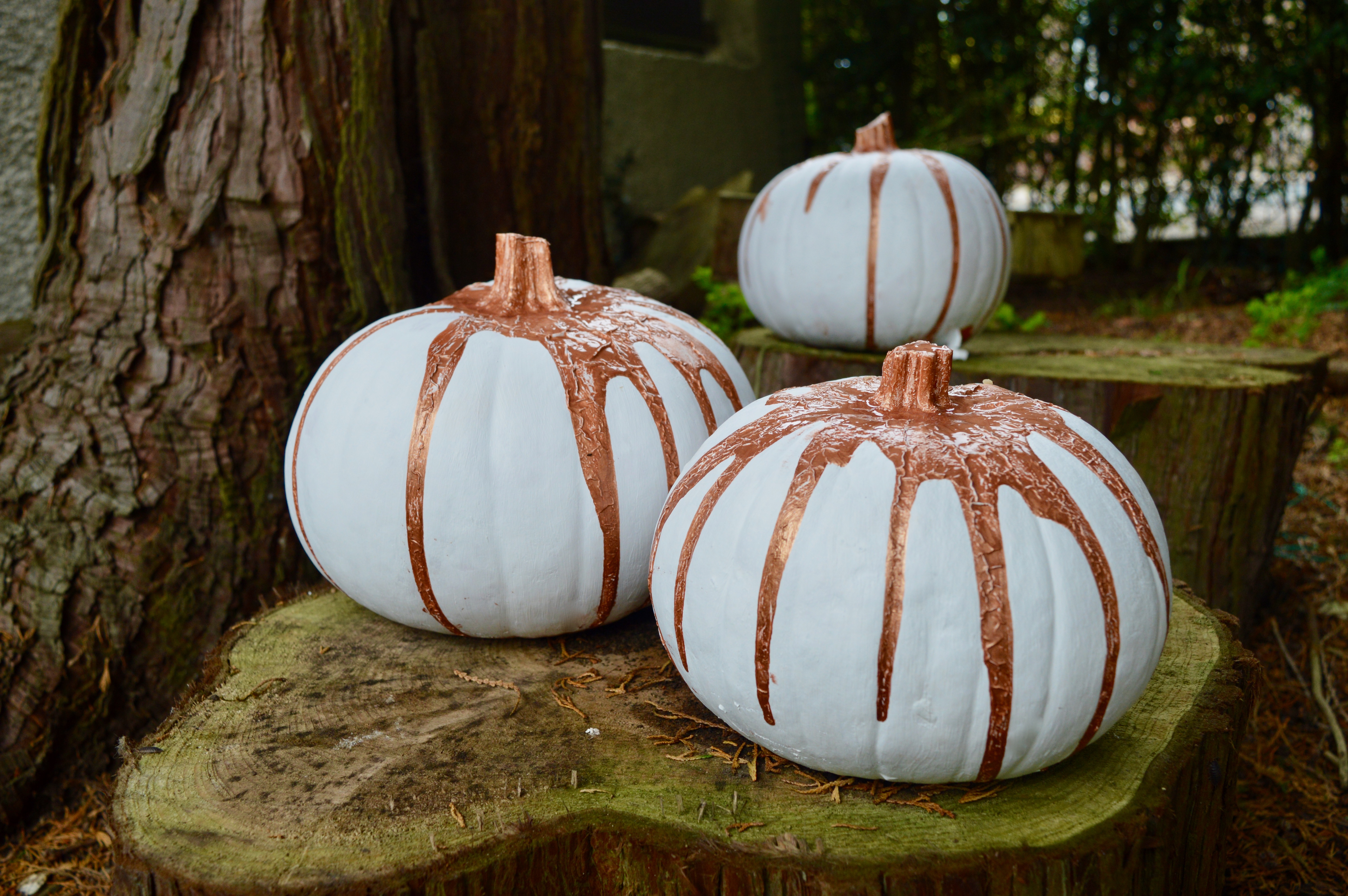 How to paint a pumpkin | Home Interiors | DIY Craft Project | White & Rose Gold | Elle Blonde Luxury Lifestyle Destination Blog