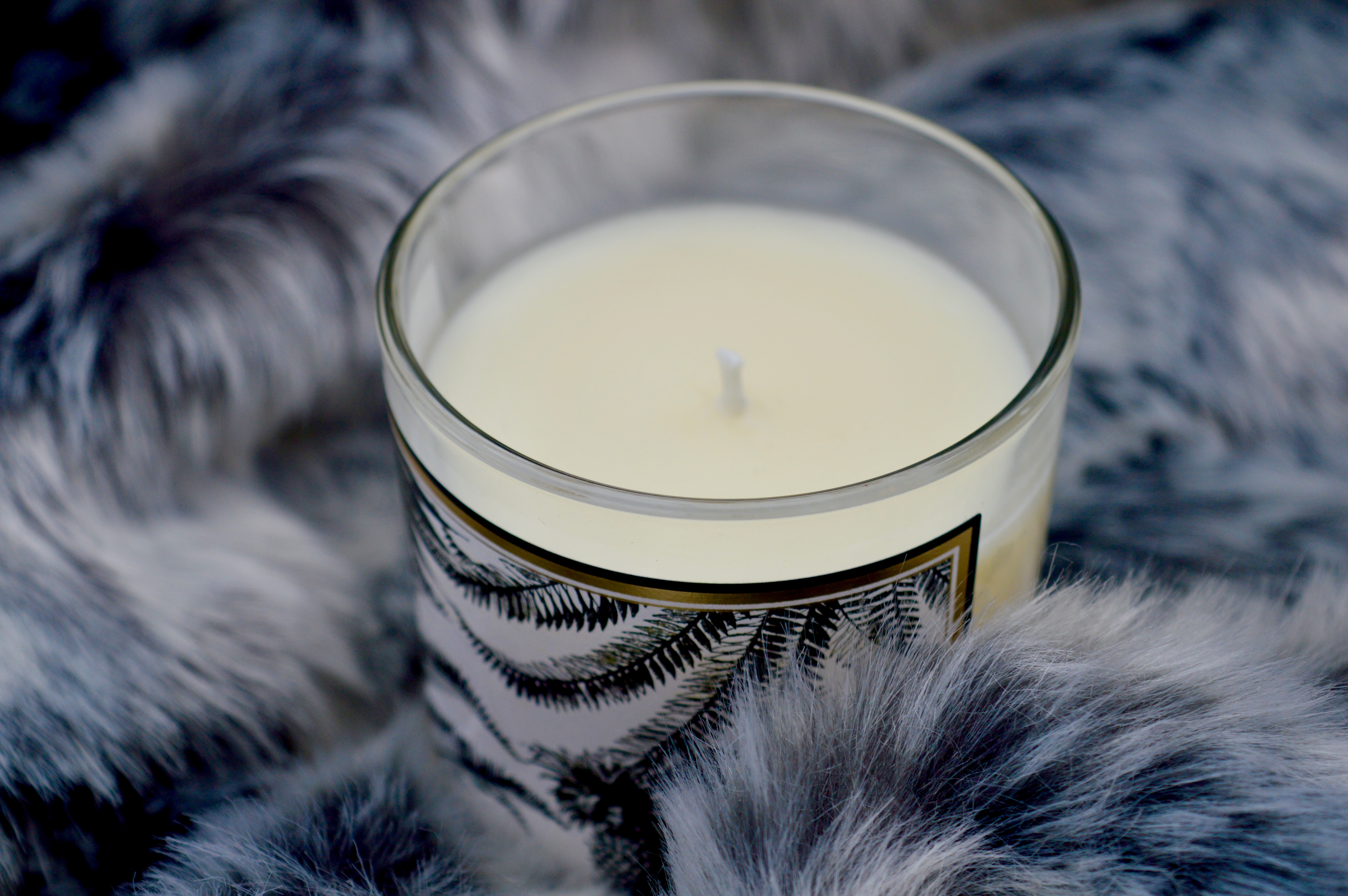 Chase and Wonder | Luxury Scented Candle | Tropical Paradise | What to buy the first time home owner | Home Interiors | Elle Blonde Luxury Lifestyle Destination Blog