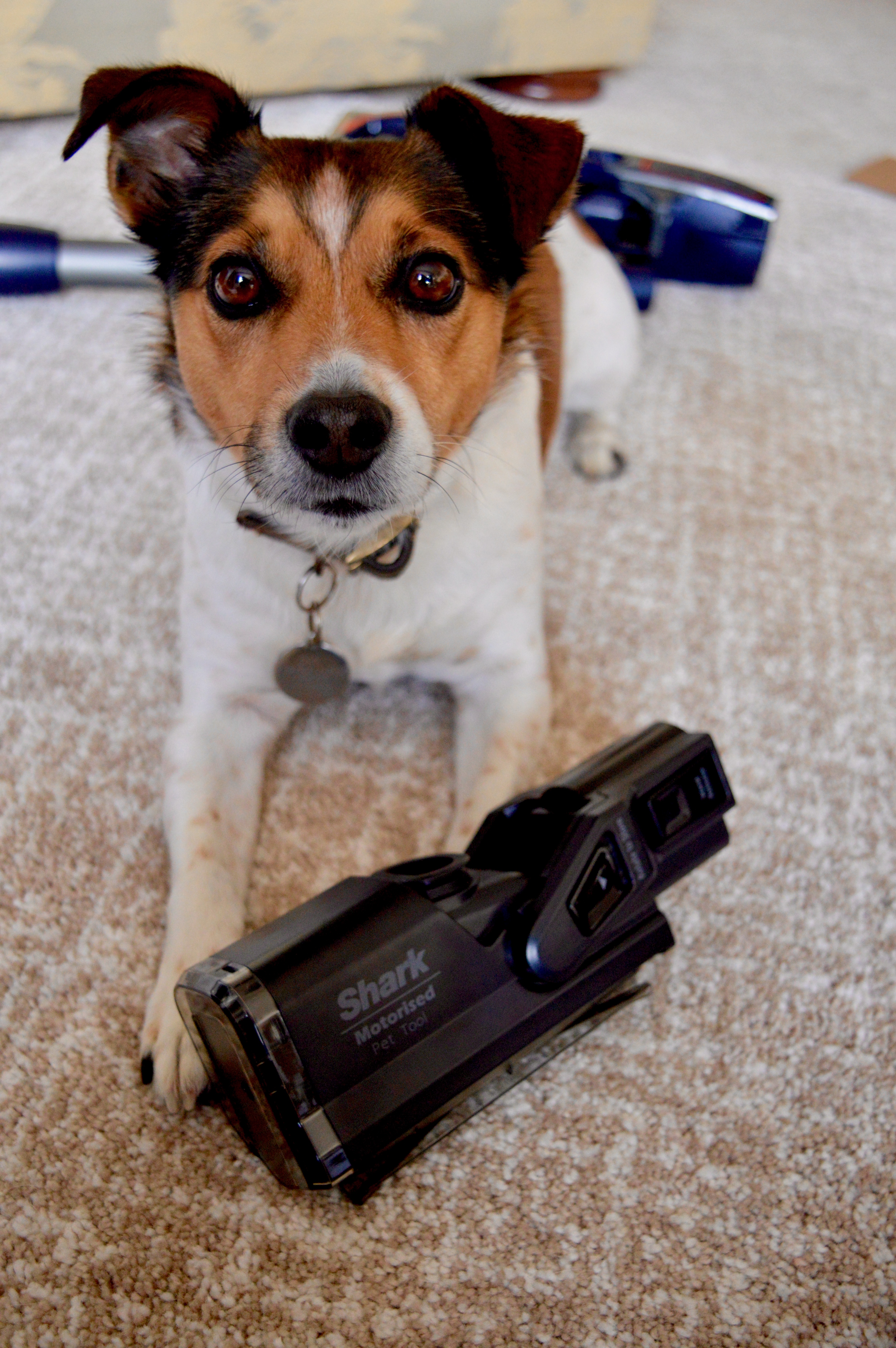 Vacuum Review: Shark DuoClean Cordless Vacuum Cleaner with TruePet Flexology Twin Battery IF250UKT | Elle Blonde Luxury Lifestyle Destination Blog