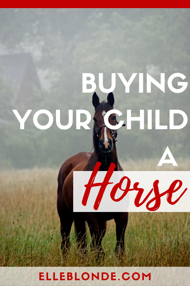 Buying your child a horse | The pros and cons | Elle Blonde Luxury Lifestyle Destination Blog