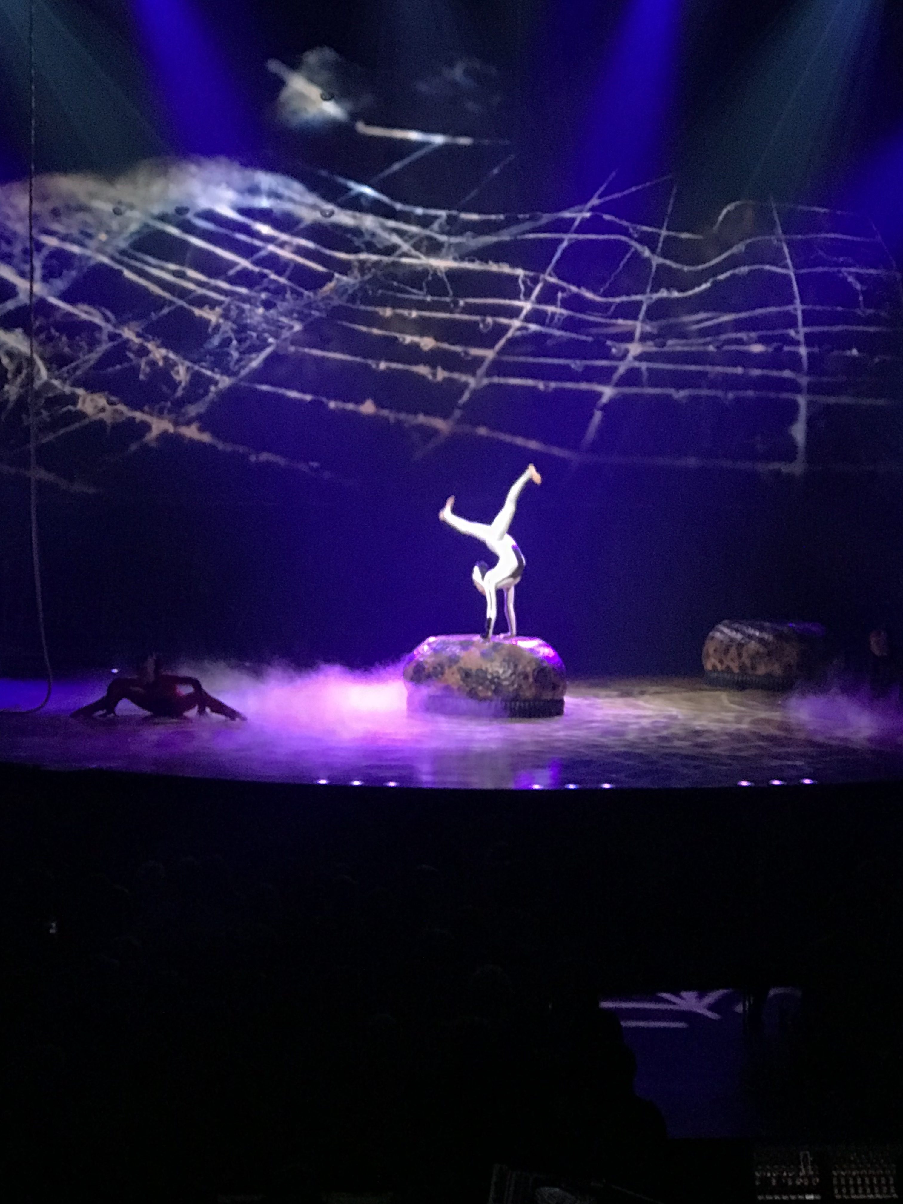 Cirque du Soleil OVO Arena Tour Show | UK & Europe | Shows & Theatre, Entertainment | Elle Blonde Luxury Lifestyle Destination Blog