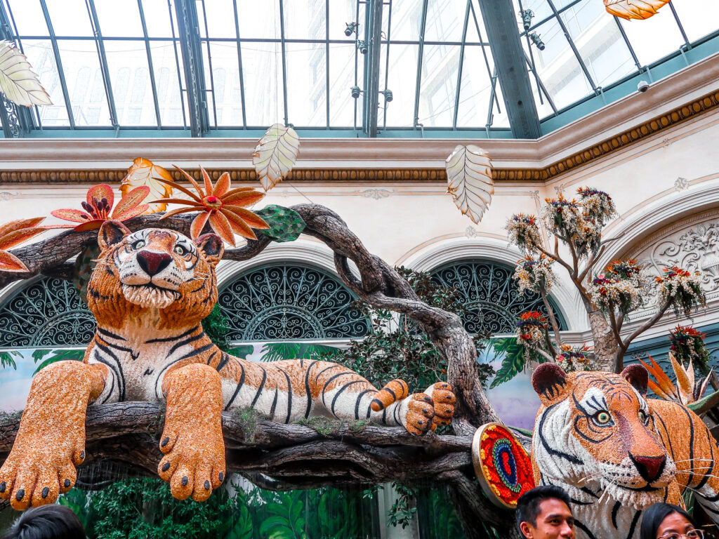 Bellagio Conservatory Tigers | 7 Night Itinerary for Las Vegas | If you're looking to plan things to do in Vegas here's what we got up to on our 6th visit | Travel Tips | Elle Blonde Luxury Lifestyle Destination Blog