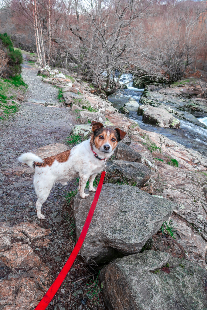 Aira Force in the Lake District | Places to visit and good walks | Waterfall | Travel Guide | Elle Blonde Luxury Lifestyle Destination Blog