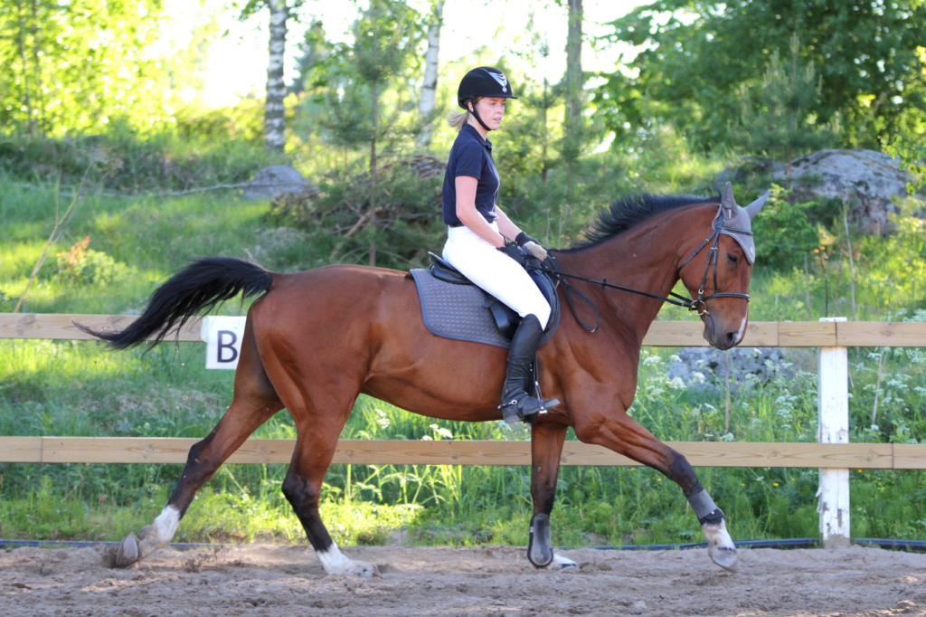 An Expert Guide to Equestrian Attire: How to Dress Well and Be Safe | Elle Blonde Luxury Lifestyle Destination Blog