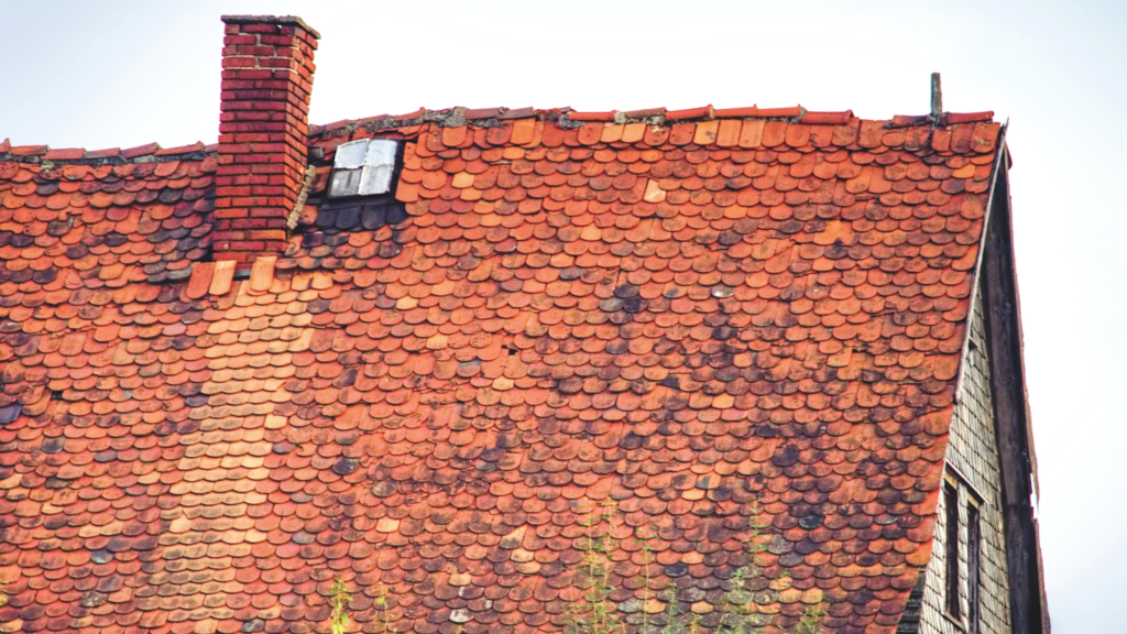 Should You Redo The Whole Roof With Worn-Out Shingles? | Home Interiors | Elle Blonde Luxury Lifestyle Destination Blog