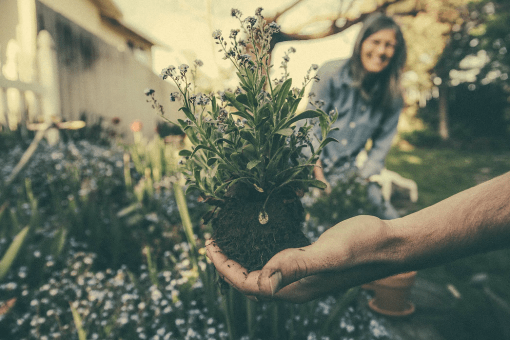 Advantages Of Using Worm Castings | Gardening Inspo | Elle Blonde Luxury Lifestyle Destination Blog