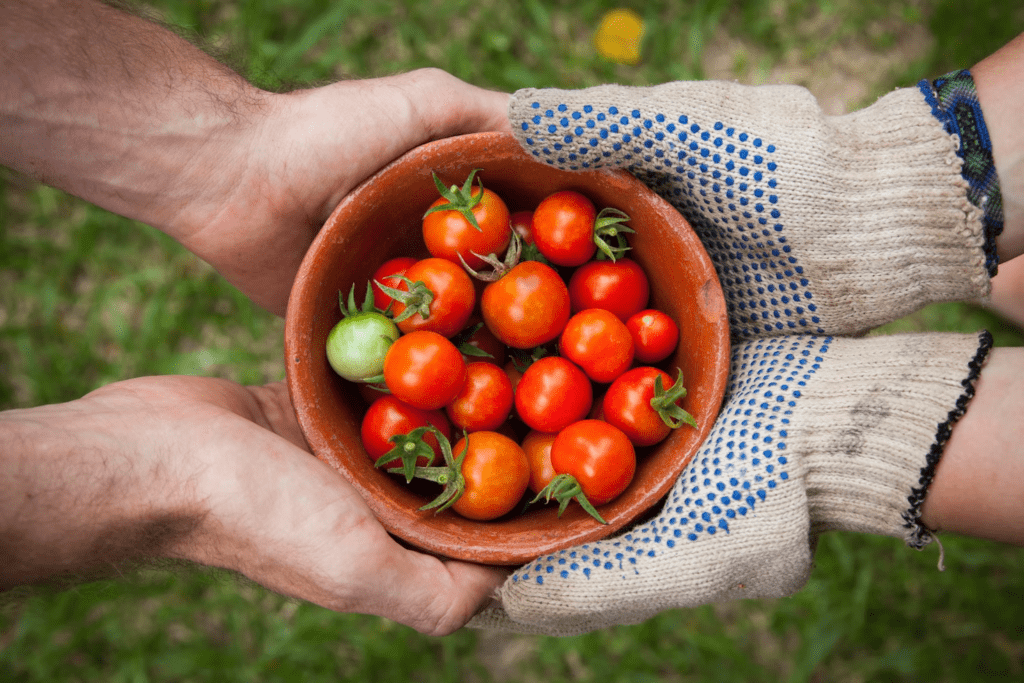 A Simple Guide How To Reducing Food Waste in Restaurants 3