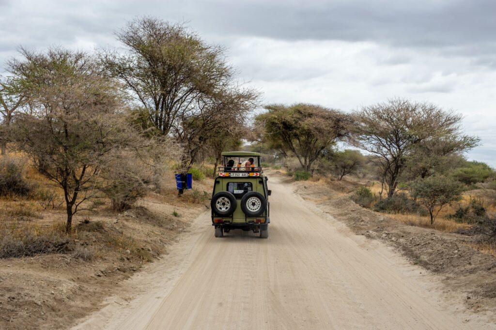 Safari Holidays in Tanzania: Your Gateway to the Ultimate Wildlife Experience | Travel Guide | Elle Blonde Luxury Lifestyle Destination Blog