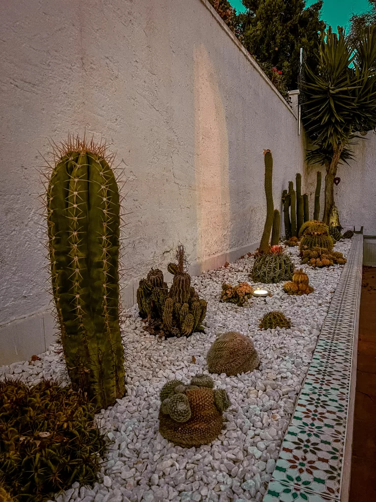 Cactus Garden in Spain | 10 Easy Tips How To Design A Low Maintenance Garden Home Interiors | Elle Blonde Luxury Lifestyle Destination Blog