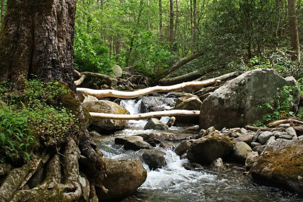 10 Things to Consider Before Taking a Family Trip to Gatlinburg | Travel Tips | Elle Blonde Luxury Lifestyle Destination Blog