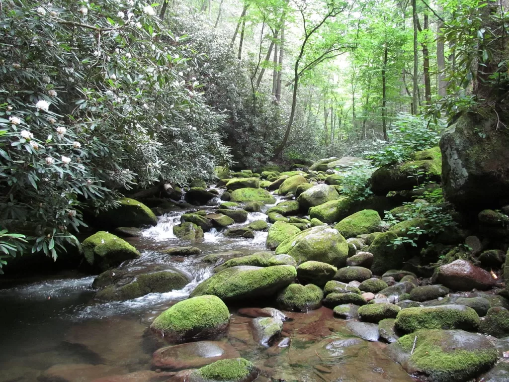 10 Things to Consider Before Taking a Family Trip to Gatlinburg | Travel Tips | Elle Blonde Luxury Lifestyle Destination Blog